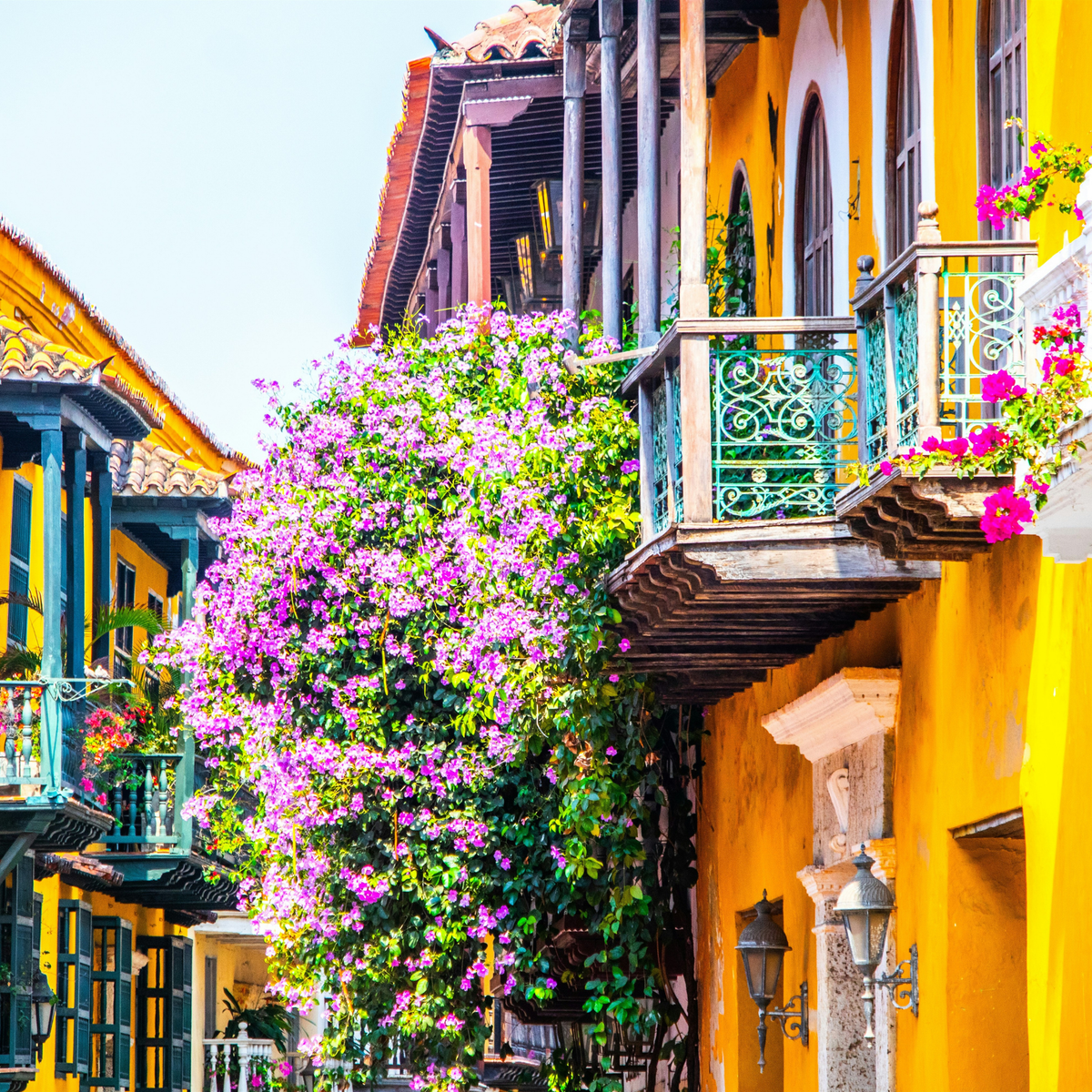 Cartagena de Indias — The Camino Tee