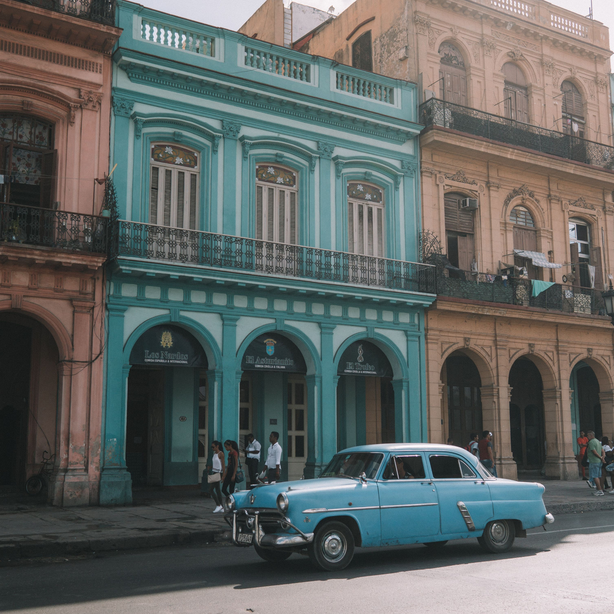La Habana — The Camino Tee